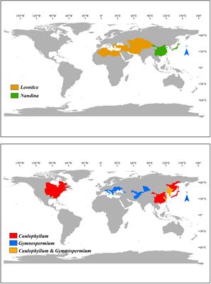 Plastid Phylogenomics and Plastome Evolution of Nandinoideae (Berberidaceae)